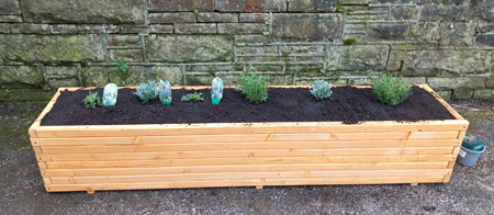 one of the new planters on platform 1